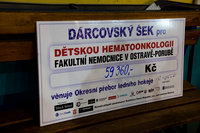 Hokejové utkání pro dětskou onkologii