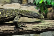ZOO Ostrava - Noc snů 2013