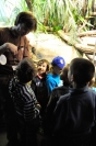 ZOO Ostrava - Noc snů 2013