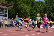 Onkologické olympijské hry Wroclaw 2015