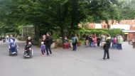 Noc snů v ZOO 2015