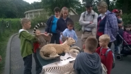 Noc snů v ZOO 2015