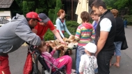 Noc snů v ZOO 2015