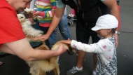 Noc snů v ZOO 2015