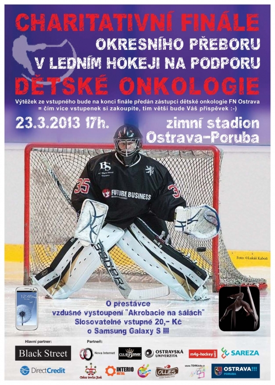 hokej 23.3.2013